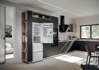 FRICOM. HAIER HTR3518ENMW 185x55 NF 3P BCO