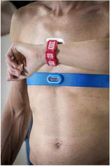 CINTA FRECUENCIA GARMIN HRM-SWIM 010-12342-00