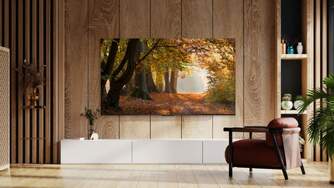 TV TCL 43%%%quot; 43P61B UHD GOOGLETV HDR10 ALLM