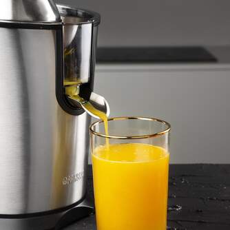 EXPRIM. PRINCESS 201851 INOX 160W BRAZO V/D