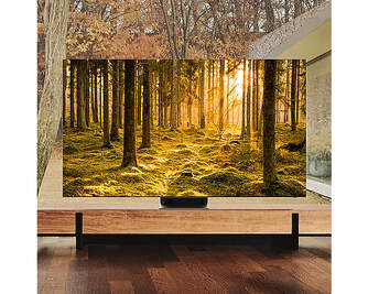 TV SAMSUNG 65%%%quot; QE65QN900B NEOQLED 8K