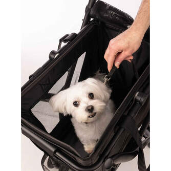 CARRO-COMPRA CARLETT CUBE P PINE MASCOTAS