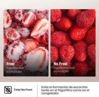 FRICOM. HISENSE RB390N4BWC 186x60x59 NF BCO DSP