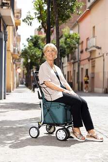 CARRO-COMPRA CARLETT COMFORT PINE VERDE