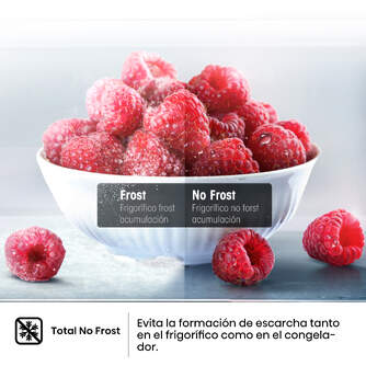 6921727038272 PT 7.jpg