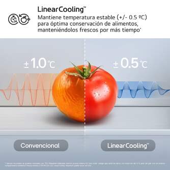 FRICOM. LG GBBS312CSW 186x60 NF BCO
