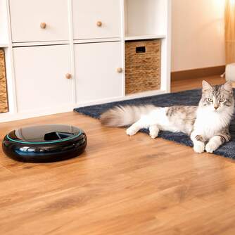 COMEDERO CECOTEC MASCOTAS 09562 COMIDA AUT 1,6L