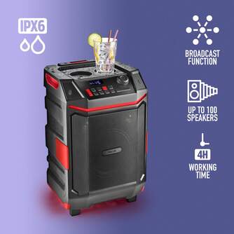 ALTAVOZ NGS WILDBASH 300W BT IPX6 NEGRA