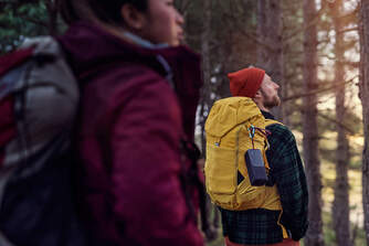 ALTAVOZ PHILIPS TAS4807B/00 BT