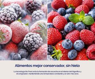 FRICOM. ARTICA COOLTECH186CBG 186X60 CRISTAL BCO