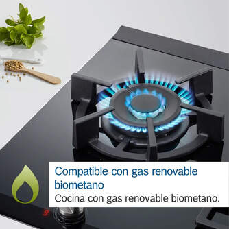ENCIM. BOSCH PGH6B5K90 4F 60CM GAS NAT