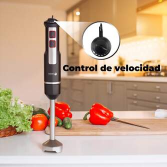 BATID. FAGOR  DIVAMIX INNOX 1000W C/A
