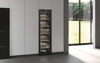 VINOTECA HAIER HWS247GEH1 247B