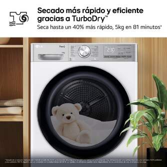 SECADORA LG RH10V9AV2WR 10K BC BCA DSP WIFI